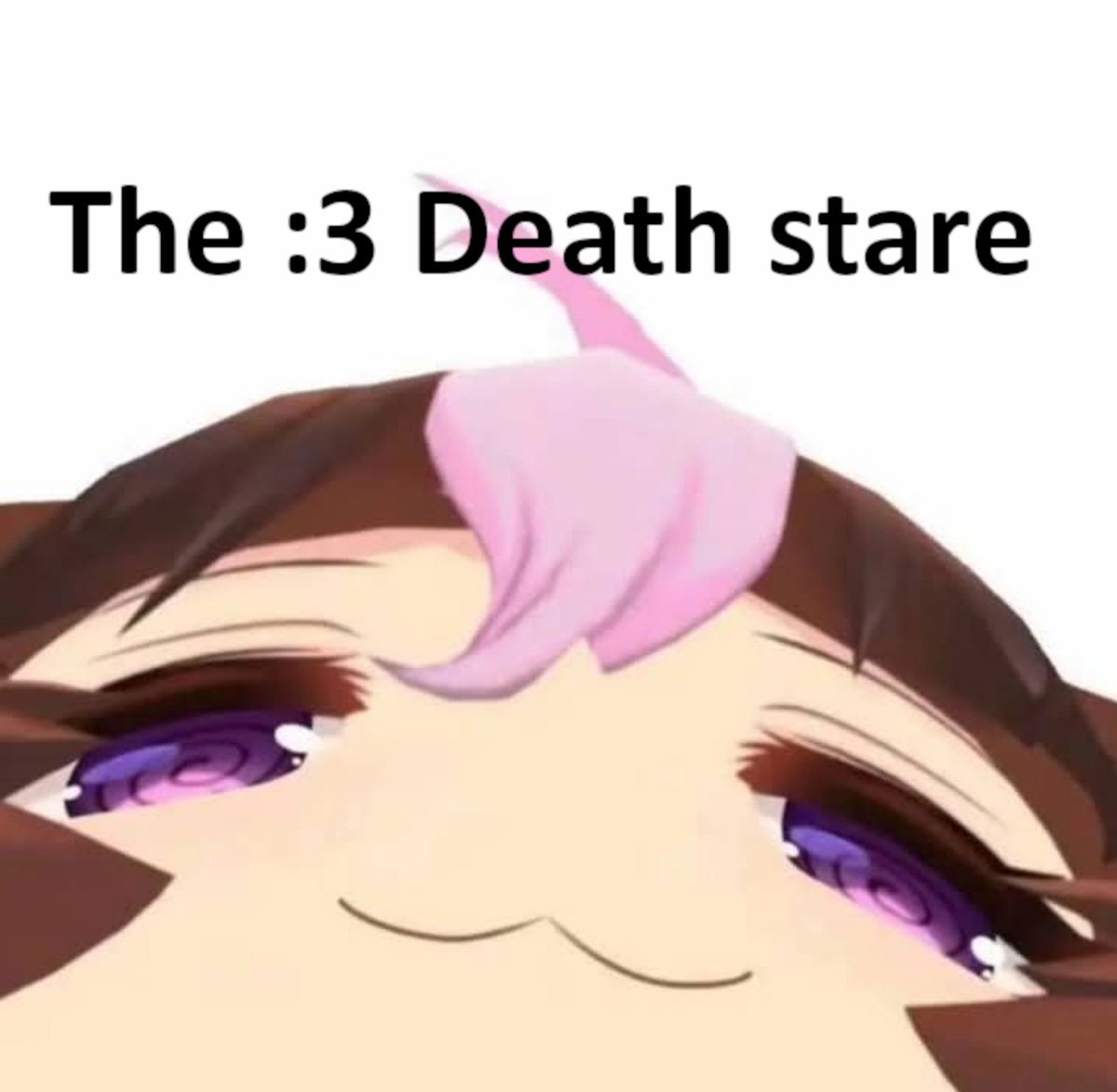 timelydoto's tweet photo. The :3 death stare https://t.co/wxQ5EgdRW0