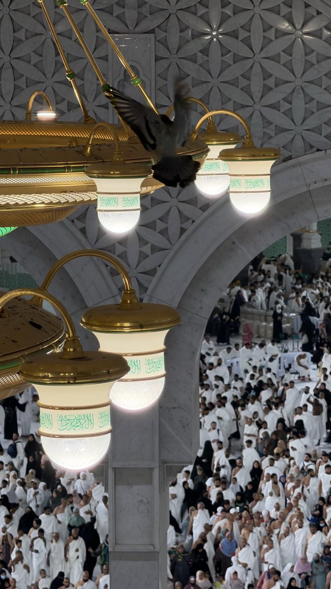 akuapeachy's tweet photo. gaa usah burgundy 18 itu yaAllah, mau berkunjung ke Baitullah aja🙏🏻 https://t.co/7se5YSS1cN