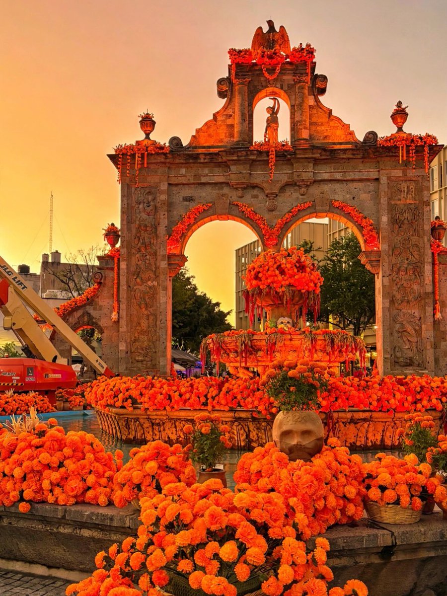 hectorvelazhv's tweet photo. El cempasúchil comienza a llenar de color a México. ¡Una de mis tradiciones favoritas del año! 🧡 https://t.co/QE3SH05uBJ