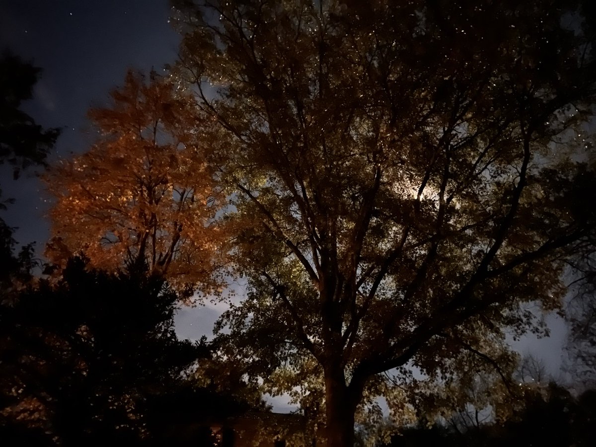MorriganReading's tweet photo. that hunter’s moon was insane last night https://t.co/4dz257jS83