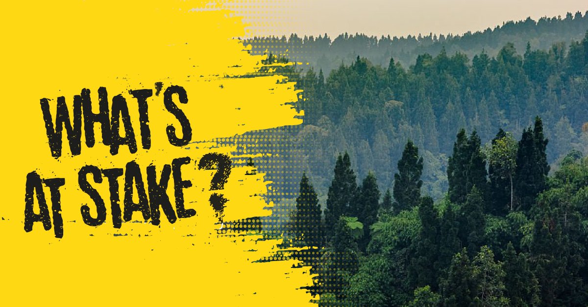 HungryPests's tweet photo. What’s at Stake? Our Forests. 
Firewood can harbor invasive pests that threaten trees and forests when moved to new areas. Help stop the spread: buy firewood where you burn it and leave leftover wood behind.

https://t.co/Br3V5TZHxI https://t.co/q9ki7Avfmp