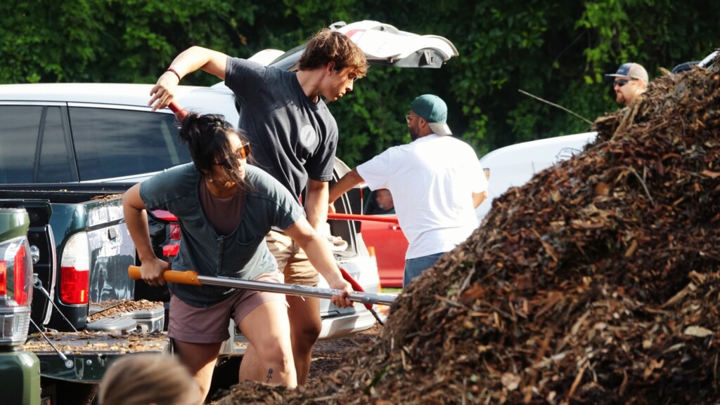 WWAY's tweet photo. 🌳 FREE MULCH FRIDAY IS BACK!

Need mulch for your yard or garden? The City of Wilmington is giving it away for FREE this Friday! 🍂 

⚠️ This is the LAST giveaway of 2026! No events are planned for November or December. Details 👇 https://t.co/k2IbOWc6SY