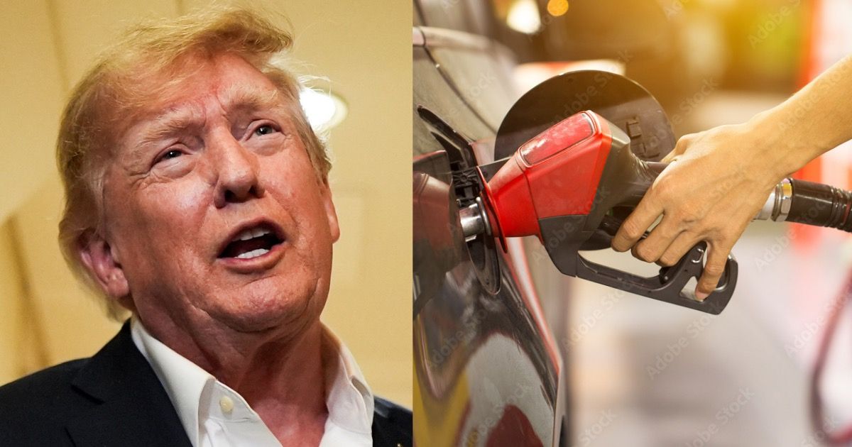 GOP__Ls's tweet photo. 🚨 BREAKING: Trump has now made $81 Million from his oil and gas stocks as the Iran war continues. https://t.co/82vBPdYHkg