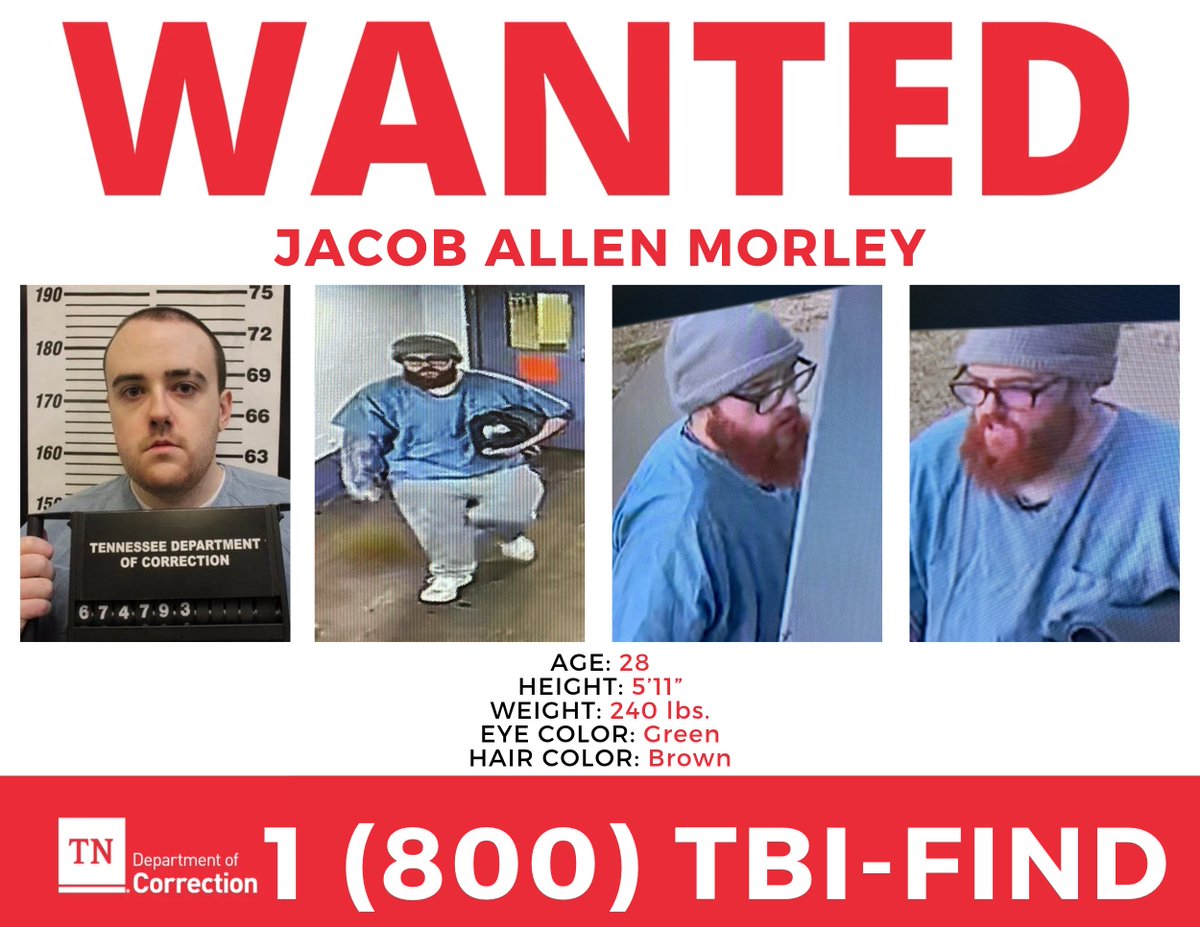 TNTDOC1's tweet photo. UPDATE 1:44 p.m. - TDOC is asking for assistance locating escaped inmate Jacob Allen Morley. Morley has been added to the @TBInvestigation Most Wanted list, and a reward of up to $2,500 is available for information leading to his arrest. Read more: https://t.co/Elk6AjaIHS https://t.co/KopkBieixu
