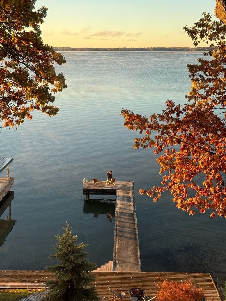 ACC_National's tweet photo. Meet me at the docks. https://t.co/a5WbmpVX3v