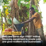 Photo by International Fund for Agricultural Development (@IFAD)