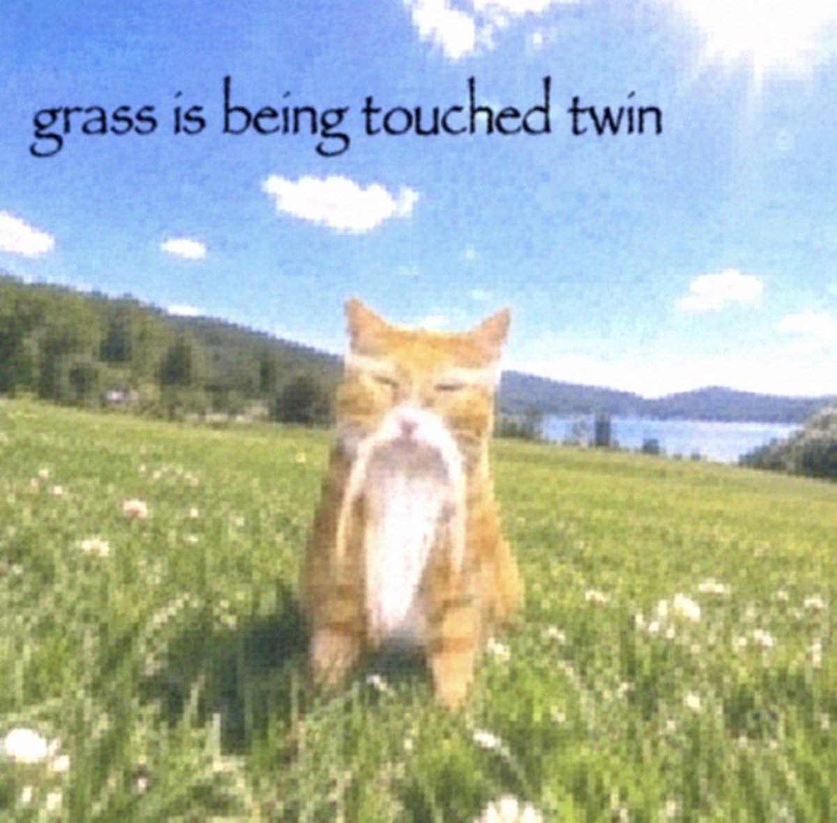 iAmNihaoCat's tweet photo. touch it nigga https://t.co/odZoDLbeES