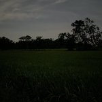 Photo by EngfaAUSTIN8 (@EngfaAustin8)