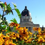 Photo by SKLegAssembly (@SKLegAssembly)