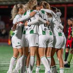 Photo by FC Groningen (@fcgroningen)