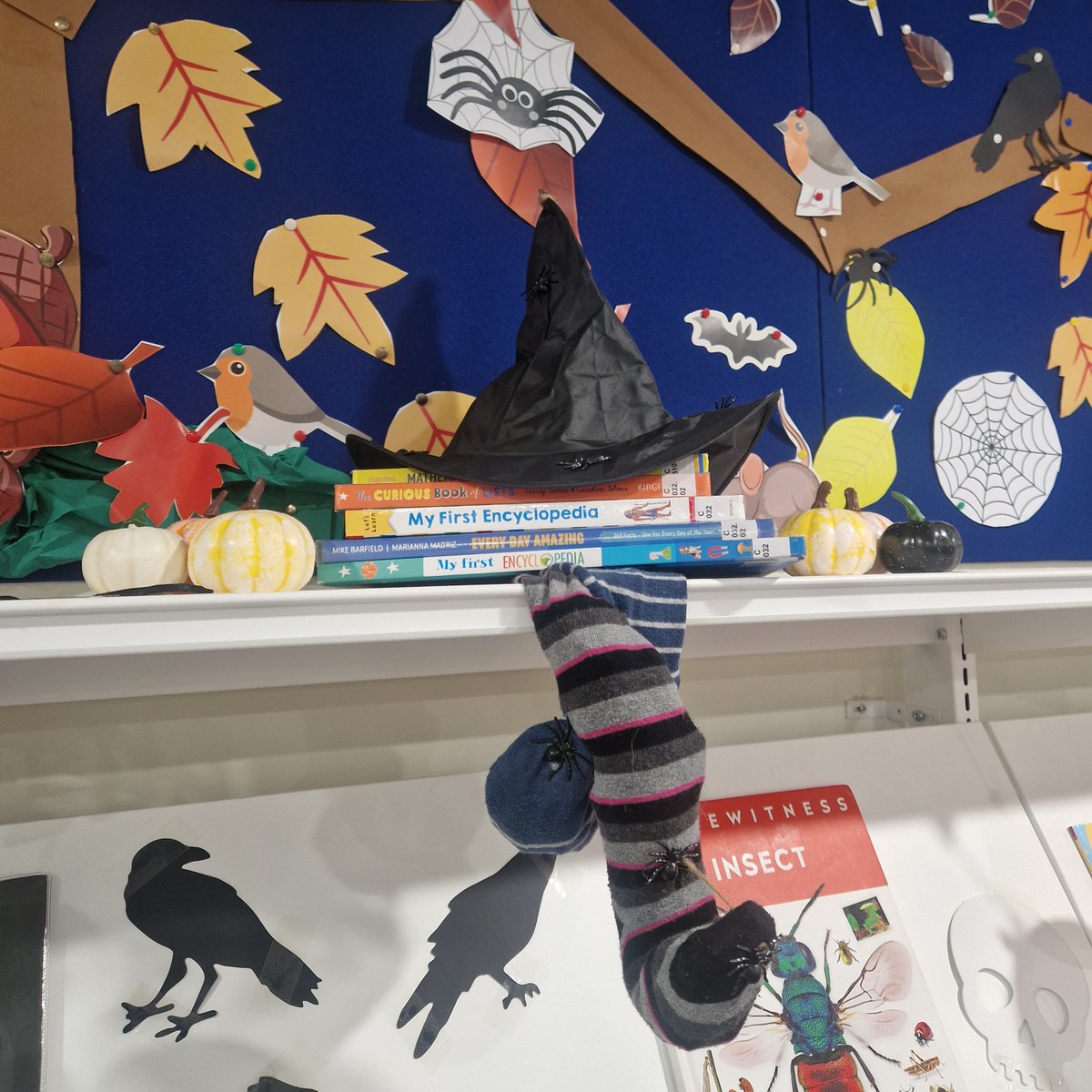 KnebCommLibrary's tweet photo. Visit Knebworth Community Library if you dare - Halloween has had a visit to our display https://t.co/InjYRxO5dn