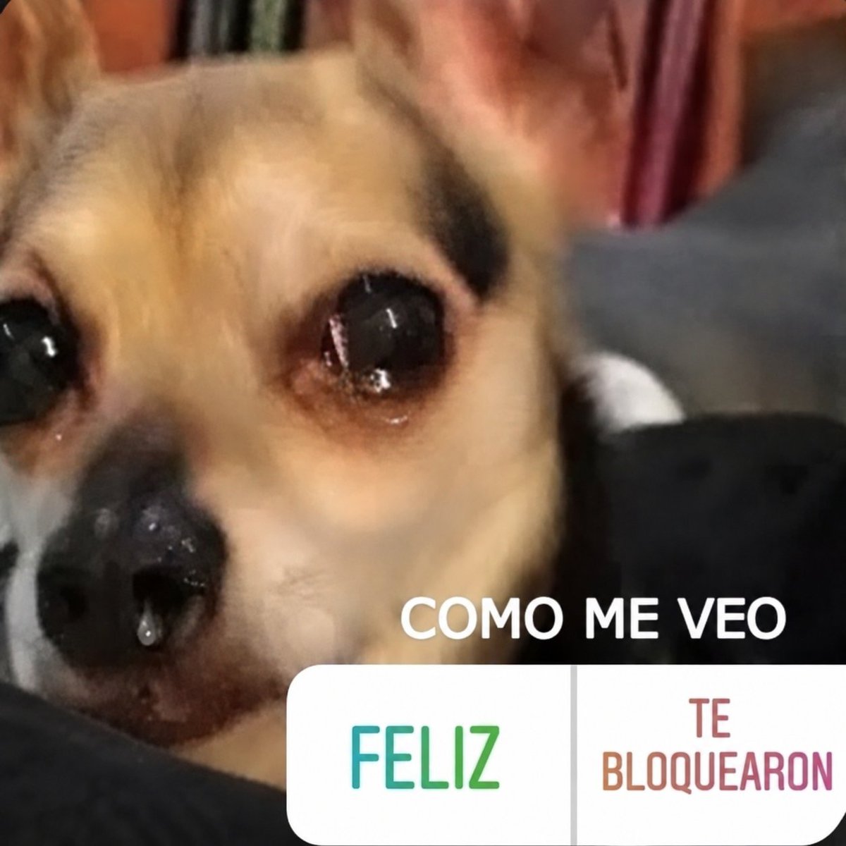 imdanisalon's tweet photo. @fer__gabrjk No amigo https://t.co/zk0yrBLpIK