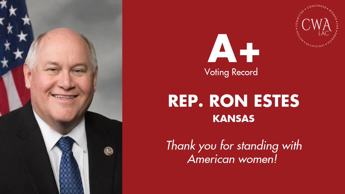 A campaign-style graphic pairs a portrait of a smiling male politician in a suit, with an American flag behind him, and a red panel featuring a voting grade and message. A circular organization logo appears in the upper-right corner.