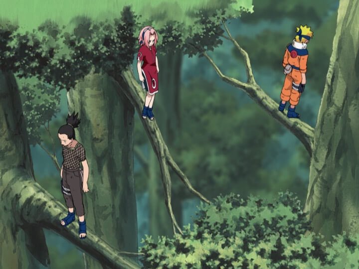 Aarrde's tweet photo. Les Japonais qui testent leur branche d’arbres préférés avant le jour J https://t.co/AqI5zfcR02