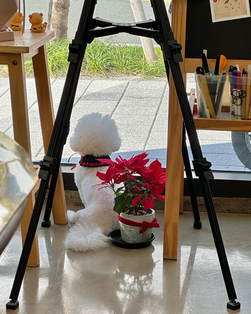 JMidyan's tweet photo. 愚痴を聞いてくれて、一緒に笑ってくれる相棒に心から感謝。心に留めておきたい言葉。 💯🚀
Psge https://t.co/EQQeSjIeMc