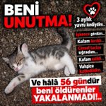 Photo by Demir🇹🇷 (@Tuikbilge)