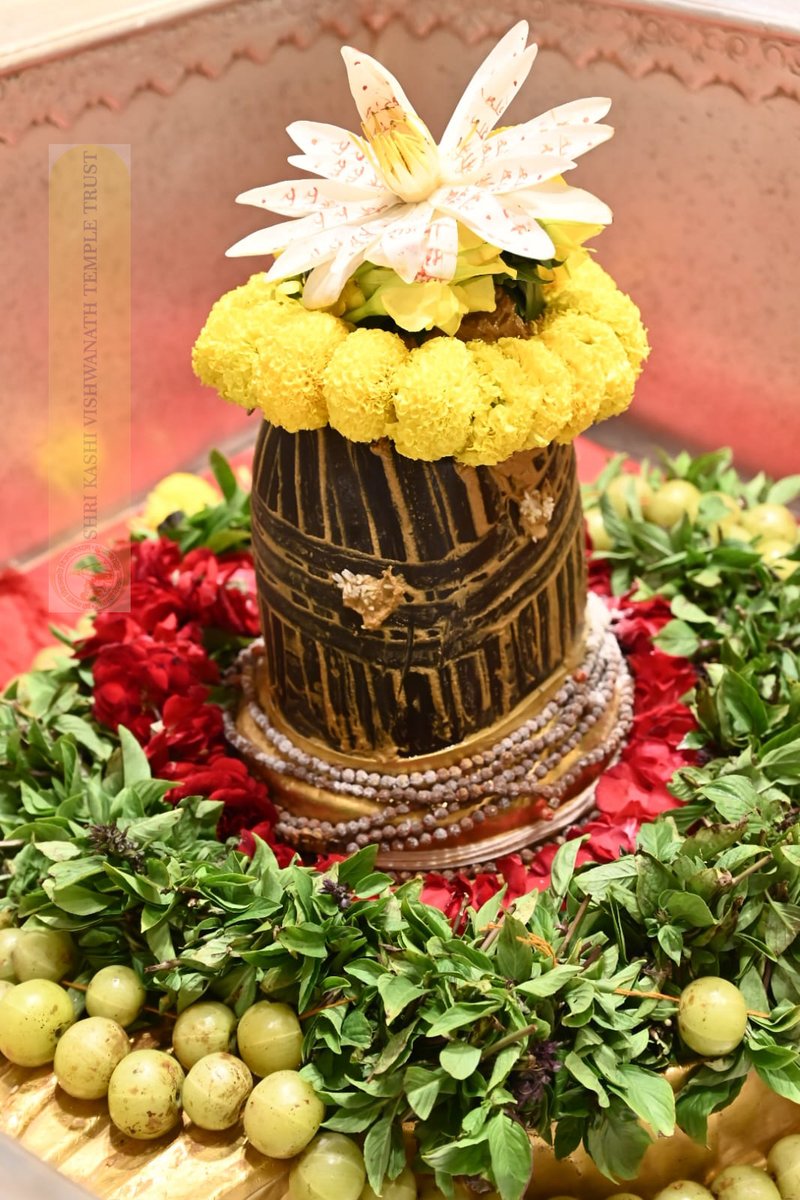 ShriVishwanath's tweet photo. श्री काशी विश्वनाथ जी की श्रृंगार आरती I https://t.co/Ps6ugzogpJ