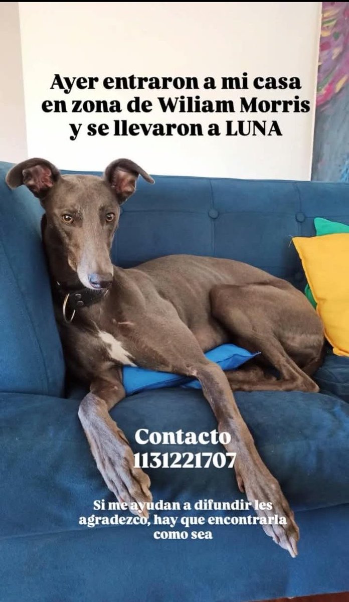 lagarzasosa_'s tweet photo. URGENTE!! difundir! https://t.co/BoJak6PqKJ