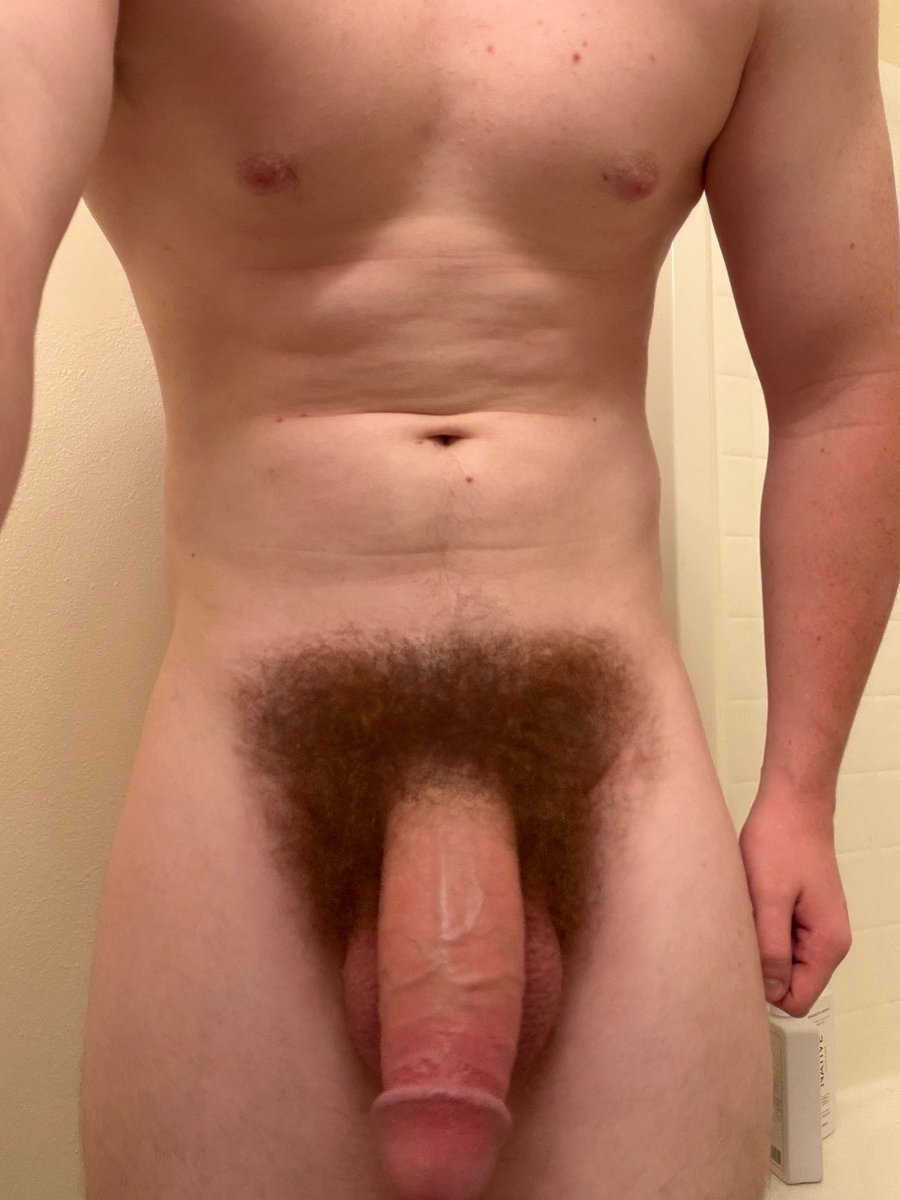 hypercockmods's tweet photo. Look at this huge hairy breeding bull!  @Dragon_griff  I couldn't resist making those impressive genitals even fucking bigger! https://t.co/XCkyw8p2gy
