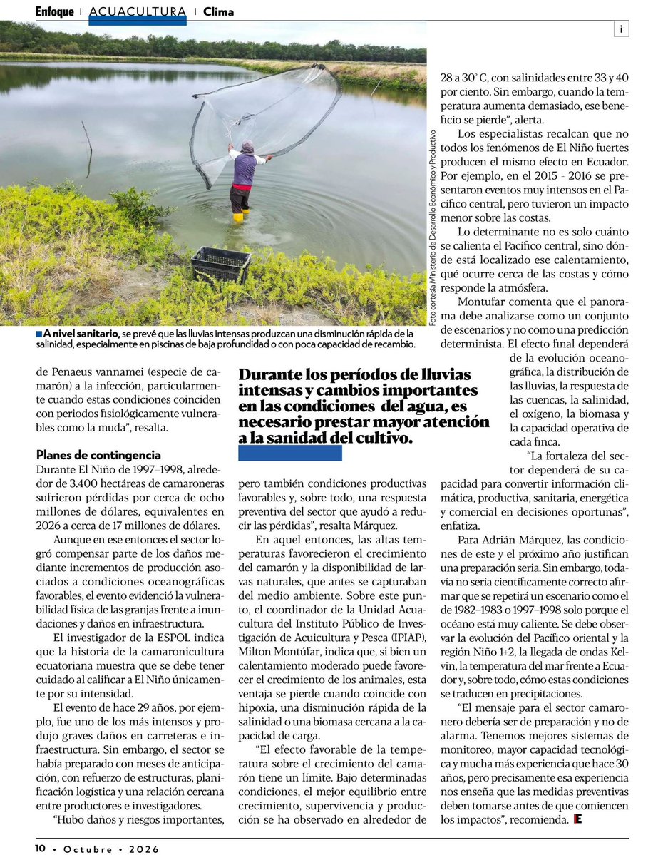 espol's tweet photo. #ESPOLenLasNoticias

Adrián Márquez, profesor investigador de @fimcmespol, explica en la revista #Enfoque cómo las lluvias asociadas al fenómeno de El Niño pueden afectar la sanidad del camarón y resalta la importancia del monitoreo y la prevención para reducir riesgos en el sector acuícola.