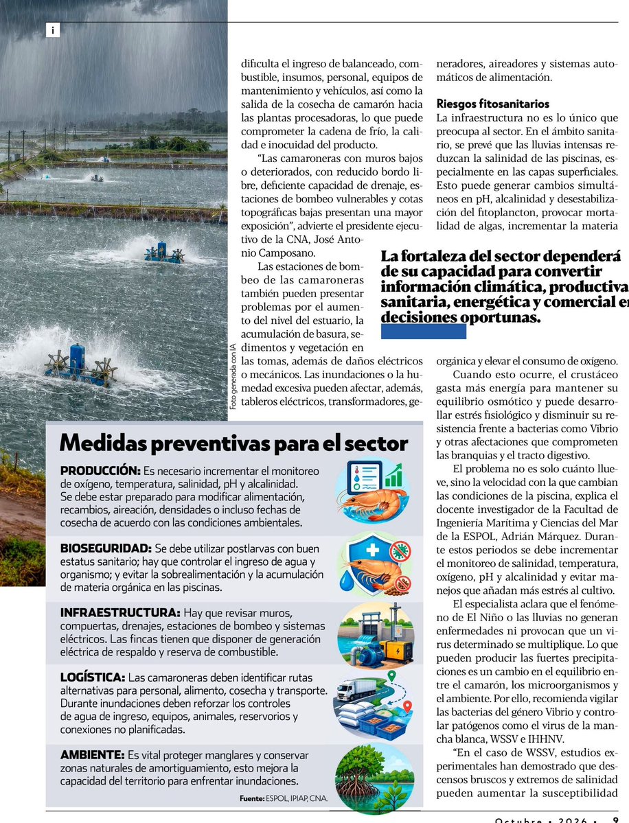 espol's tweet photo. #ESPOLenLasNoticias

Adrián Márquez, profesor investigador de @fimcmespol, explica en la revista #Enfoque cómo las lluvias asociadas al fenómeno de El Niño pueden afectar la sanidad del camarón y resalta la importancia del monitoreo y la prevención para reducir riesgos en el sector acuícola.
