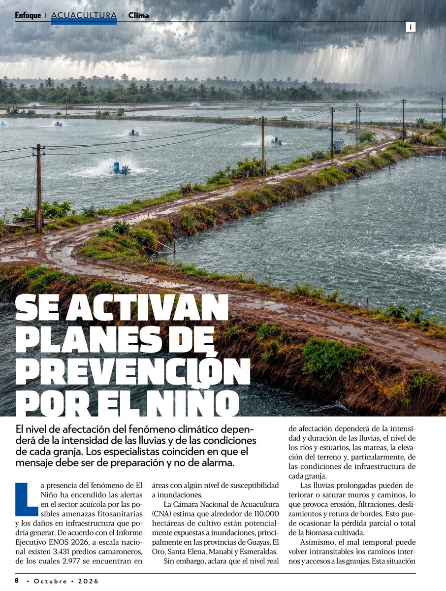 espol's tweet photo. #ESPOLenLasNoticias

Adrián Márquez, profesor investigador de @fimcmespol, explica en la revista #Enfoque cómo las lluvias asociadas al fenómeno de El Niño pueden afectar la sanidad del camarón y resalta la importancia del monitoreo y la prevención para reducir riesgos en el sector acuícola.