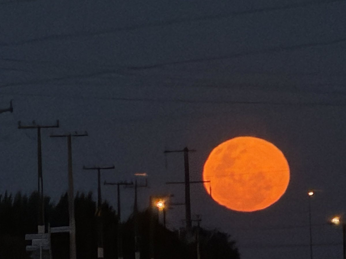 4TheRainCl0uds's tweet photo. The moon last night was so big &amp; pretty, sky was pretty to but the sky was from a massive scrub fire about an hr away from where pic was taken https://t.co/YeUfMr6CNm