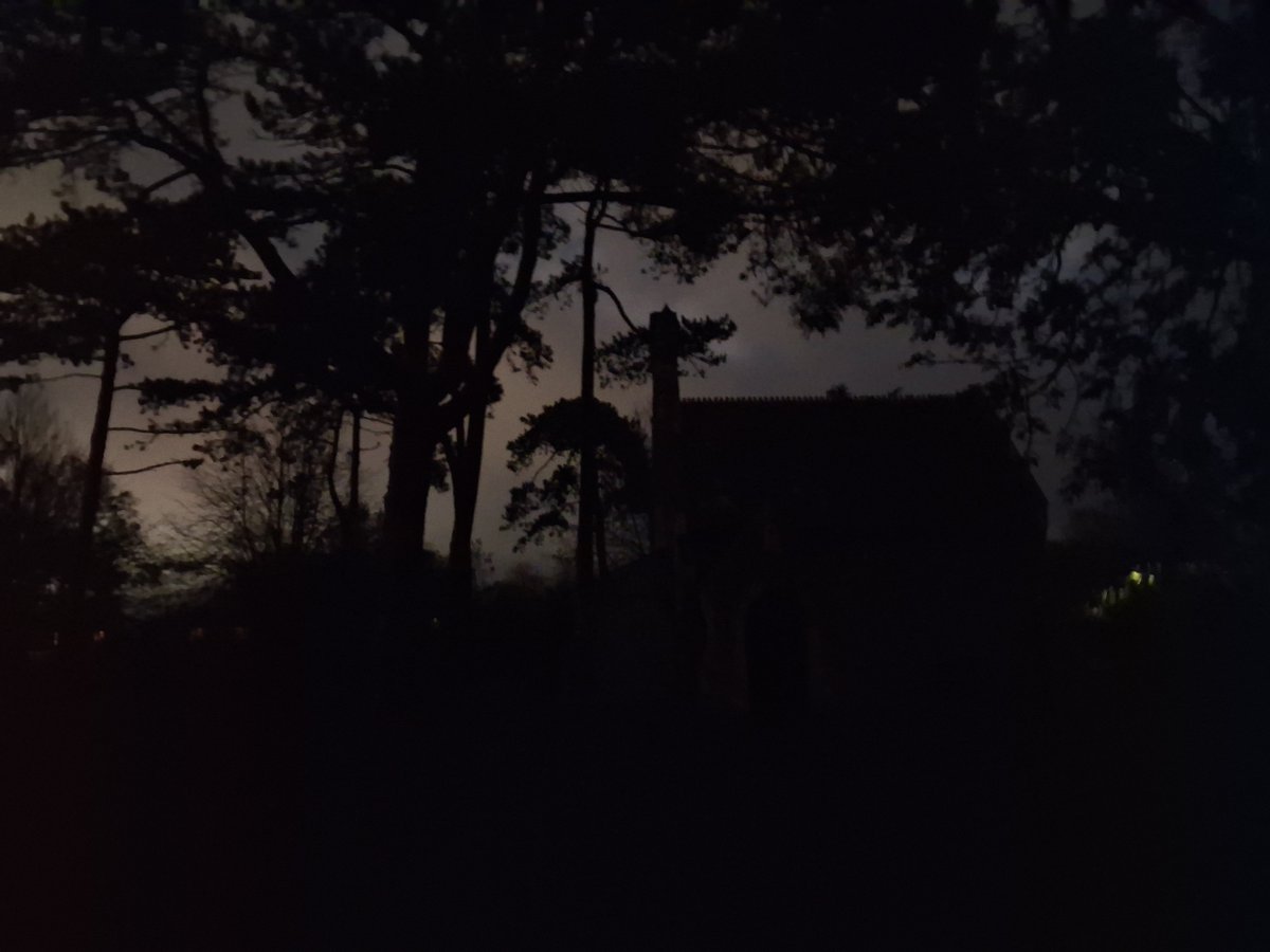 sovietfennekin's tweet photo. pictures I took in a dark cemetery moments before getting murdered by a vampire https://t.co/62l9r70ZGT