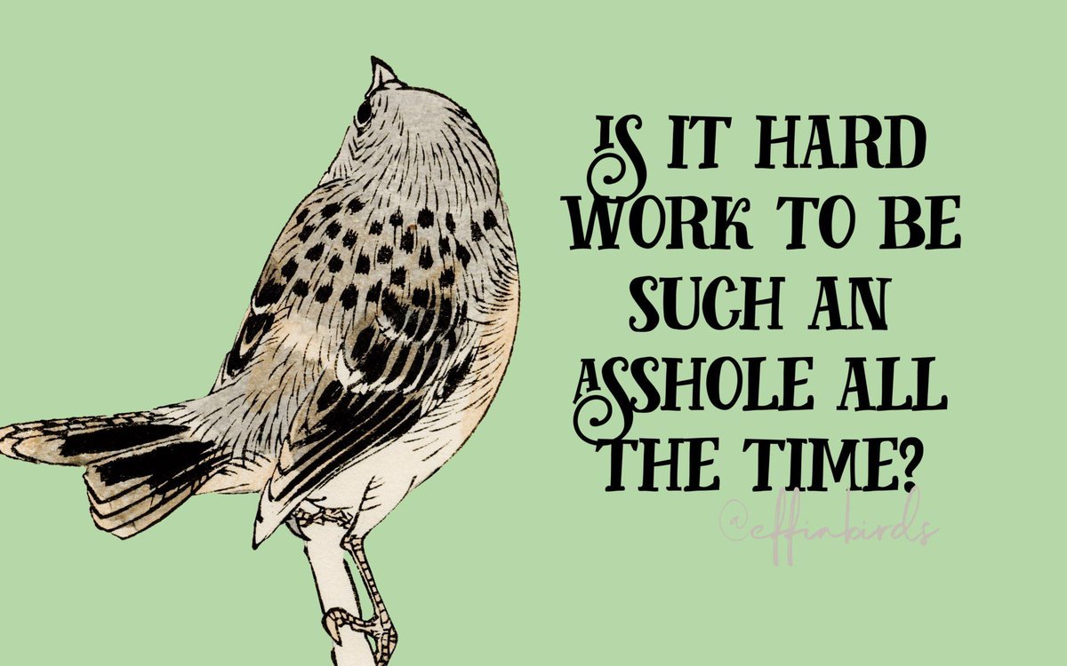 EffinBirds's tweet photo. https://t.co/E3KfOHTLqY