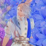 Photo by Choco@Bahamut (@ChocoBahamut)