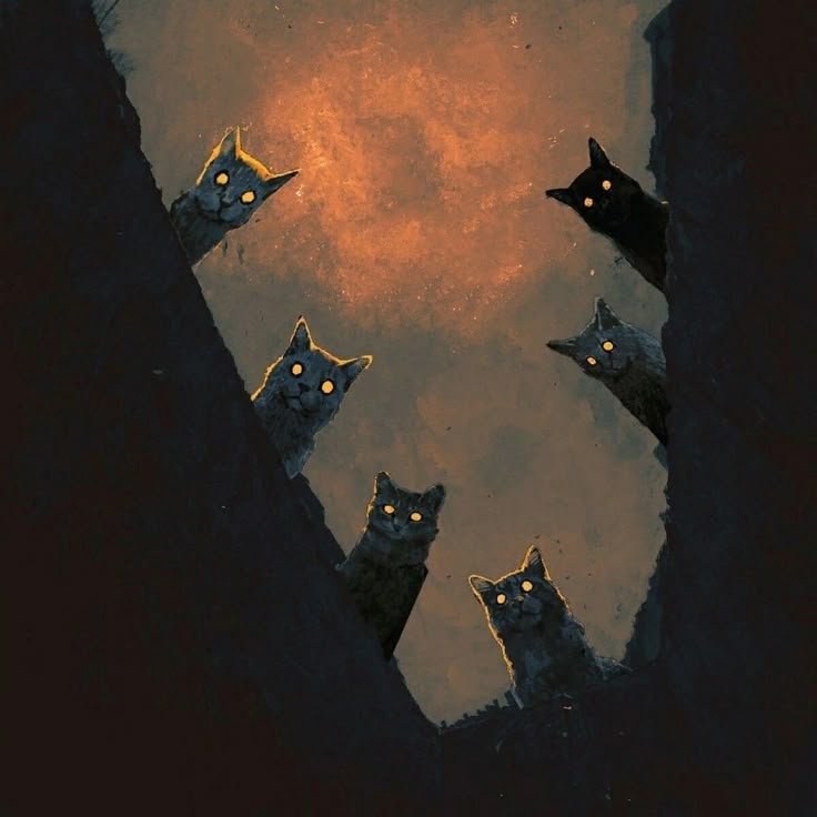 TheMenaceCat's tweet photo. #IPreferMyMagicDarkLike where we put people who hurt black kitties https://t.co/k8kWpVUrir