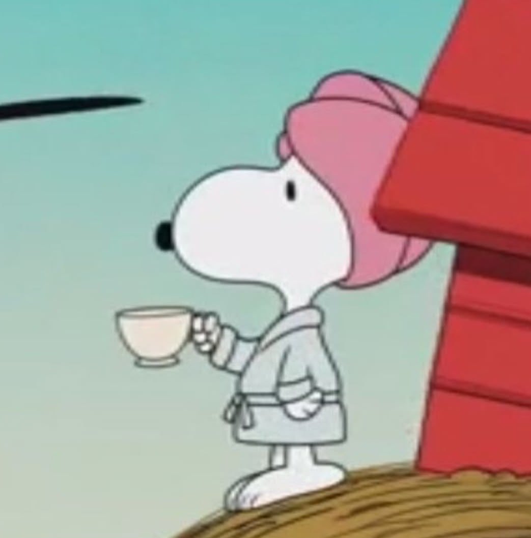 DailySnoopys's tweet photo. https://t.co/9rDFHFSBVh