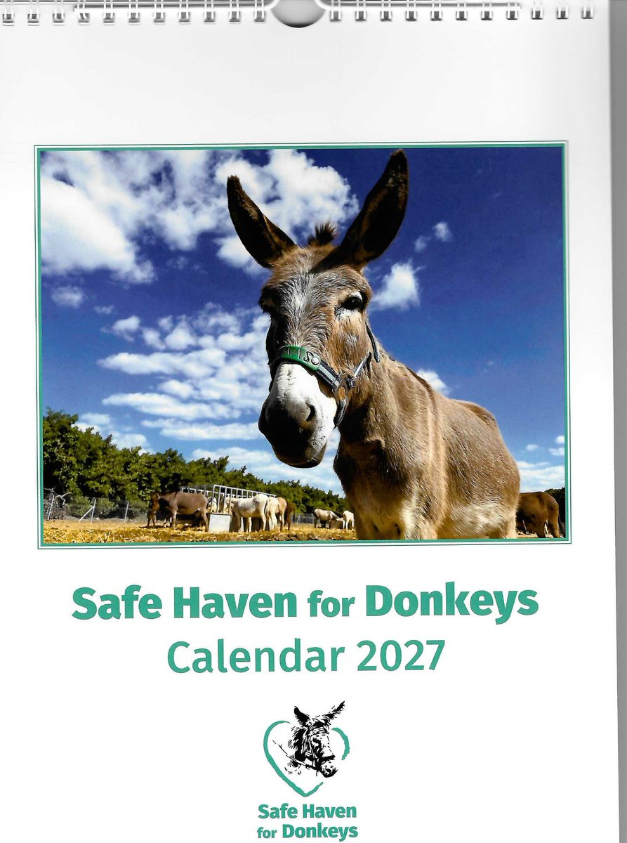 safehaven4donks's tweet photo. 📅 Our much-loved 2027 donkey calendar is always in demand—a lovely treat for yourself or a gift for a donkey-loving friend. Just £9.99 plus postage. Order yours before they sell out - quick!!

🔗 https://t.co/bEkQcvGgOC 
(Apologies we can only post these out within the UK) https://t.co/GxYdx1nzb1