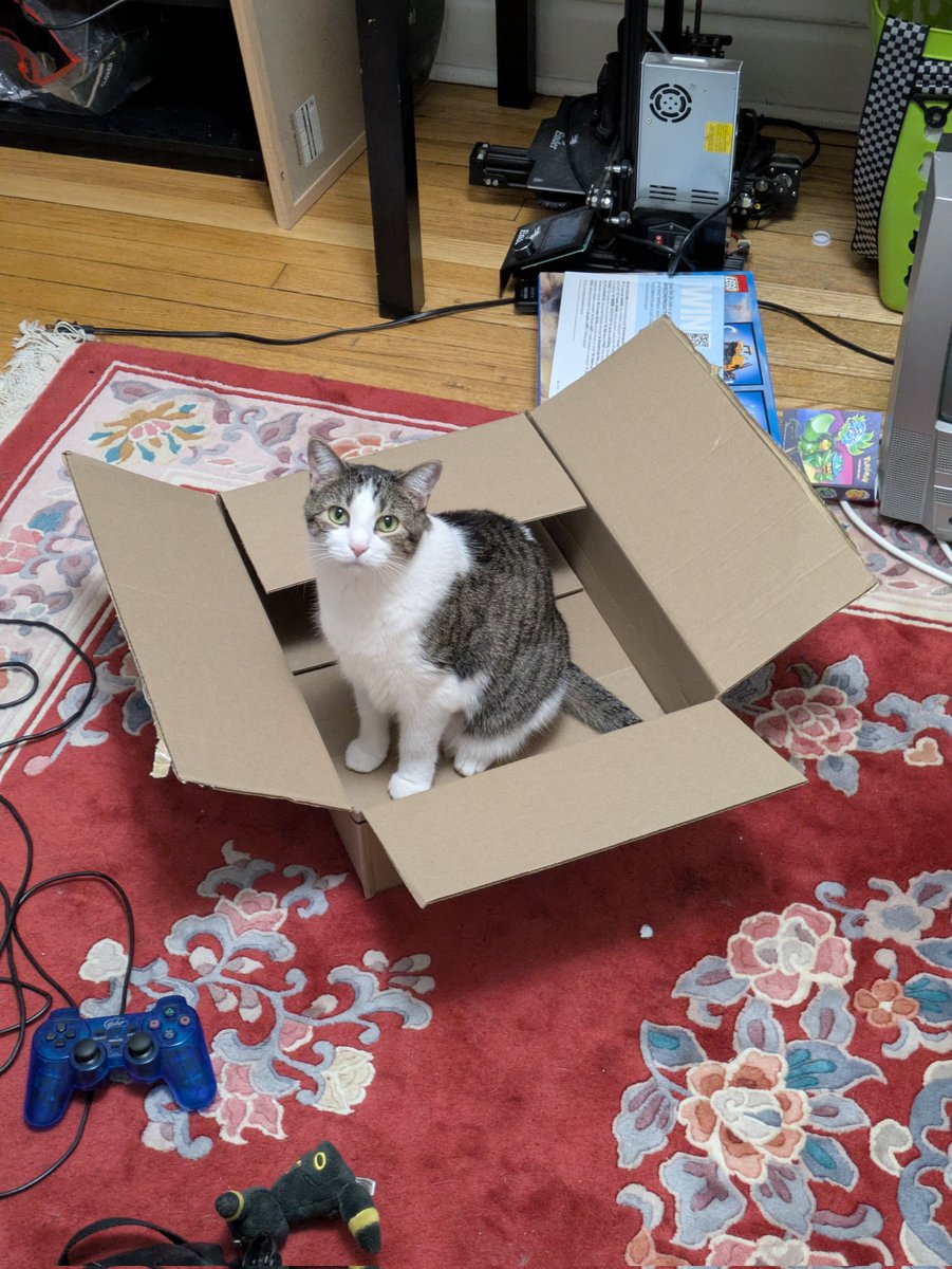 garbageconsumer's tweet photo. dog and cat https://t.co/GUa7GpGR1I