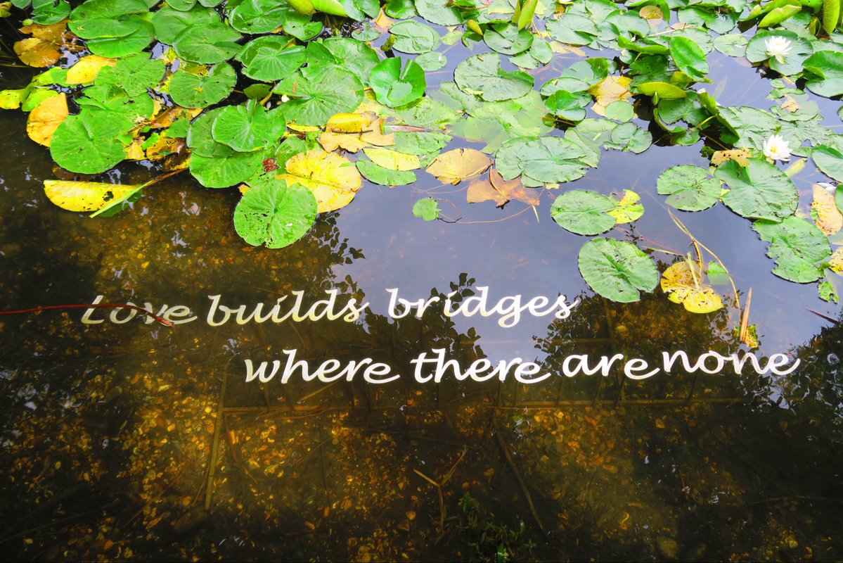 vanessa_c_clark's tweet photo. #AlphabetChallenge #WeekQforQuotes I love this https://t.co/YhD74U3aDX