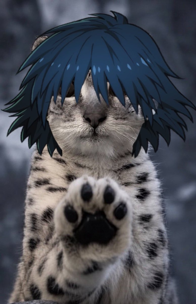 nibujin302's tweet photo. ren https://t.co/PvDebtZ8Ks