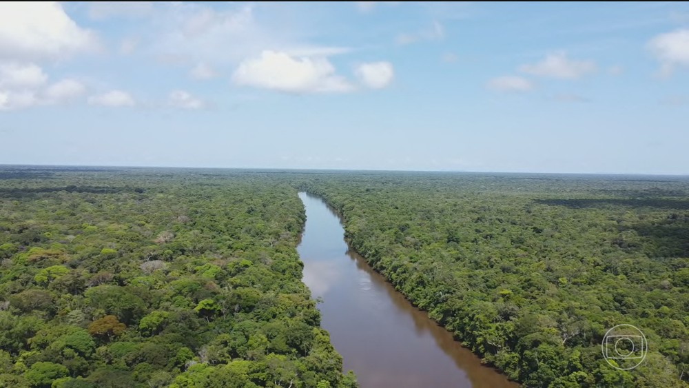 g1's tweet photo. Alemanha afirma que vitória de Lula é boa notícia para Amazônia https://t.co/nj5EM1oF86 https://t.co/i7eP5ewrY7