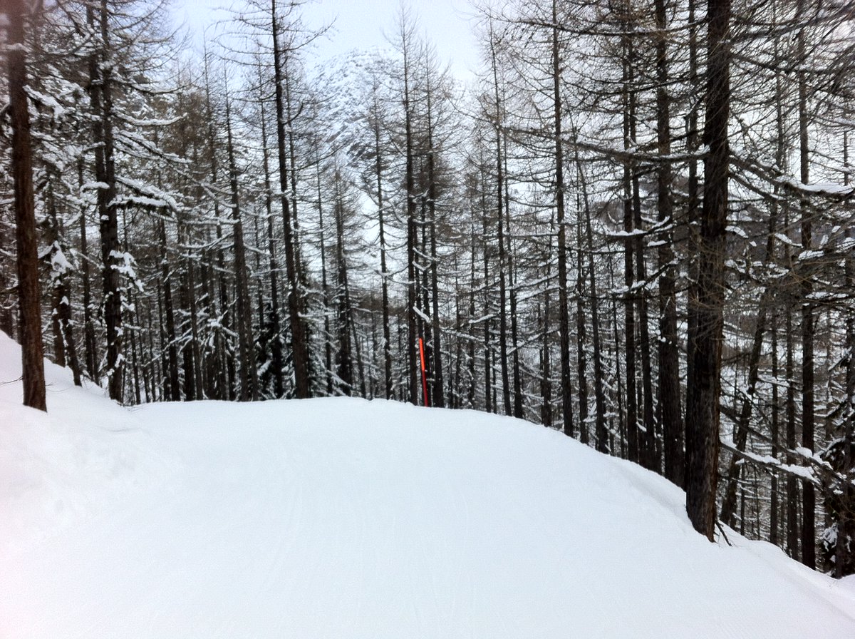 JournalplusCH's tweet photo. ⛷️ Skiferien 2026/27: Wie teuer wird der Pistenspass für Familien wirklich?

🇨🇭 Vier Personen, mehrere Skitage – da können die Skipässe schnell ins Geld gehen. Doch welches Skigebiet bietet das bessere Preis-Leistungs-Verhältnis?

Der Preisvergleich für Familien:

👉 https://t.co/zNioF6dZ01

#Skiferien #Skipass #Schweiz #Familienferien #Wintersport
