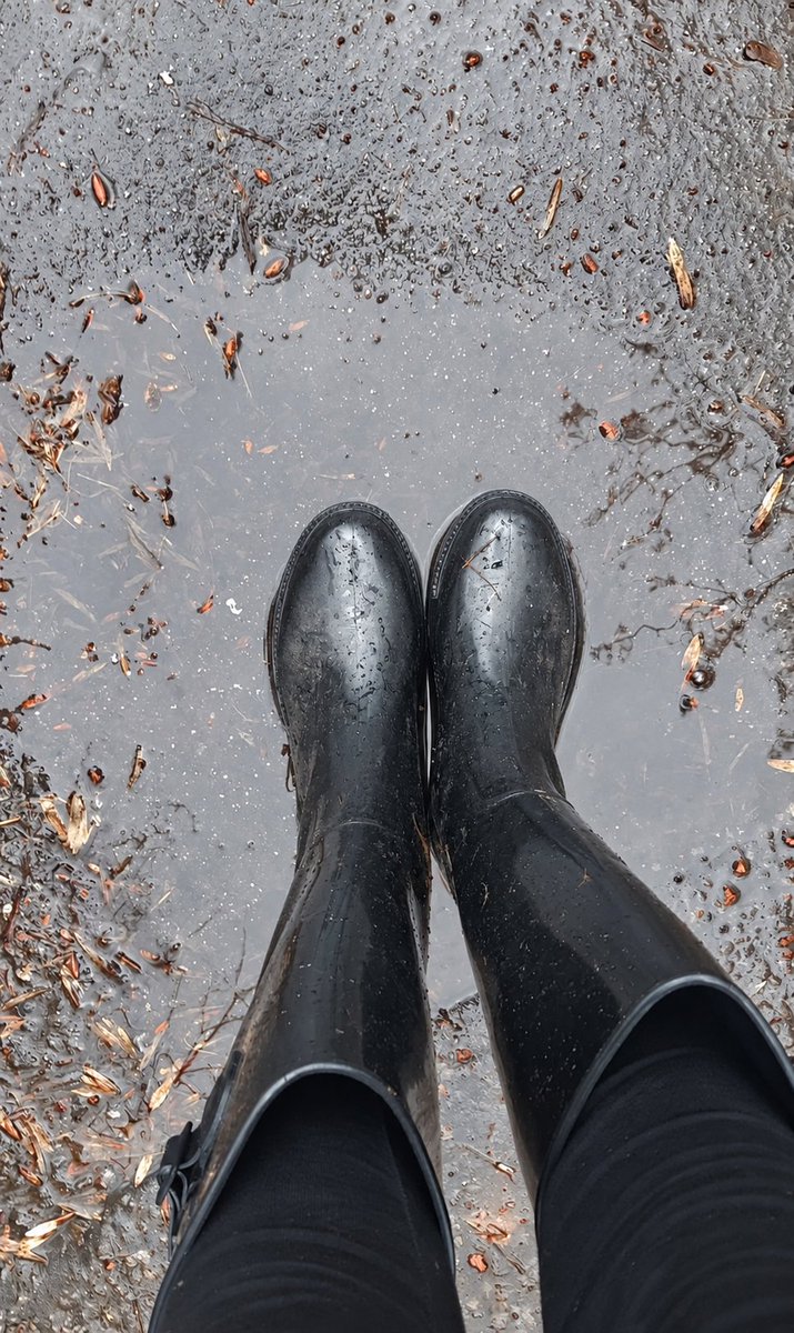 Lady_Hedda's tweet photo. Manche Männer sehen nur Gummistiefel im Regen.
Andere erkennen eine Gelegenheit, ihrer Herrin zu dienen.

#cashslave https://t.co/iEKIEDTXqz