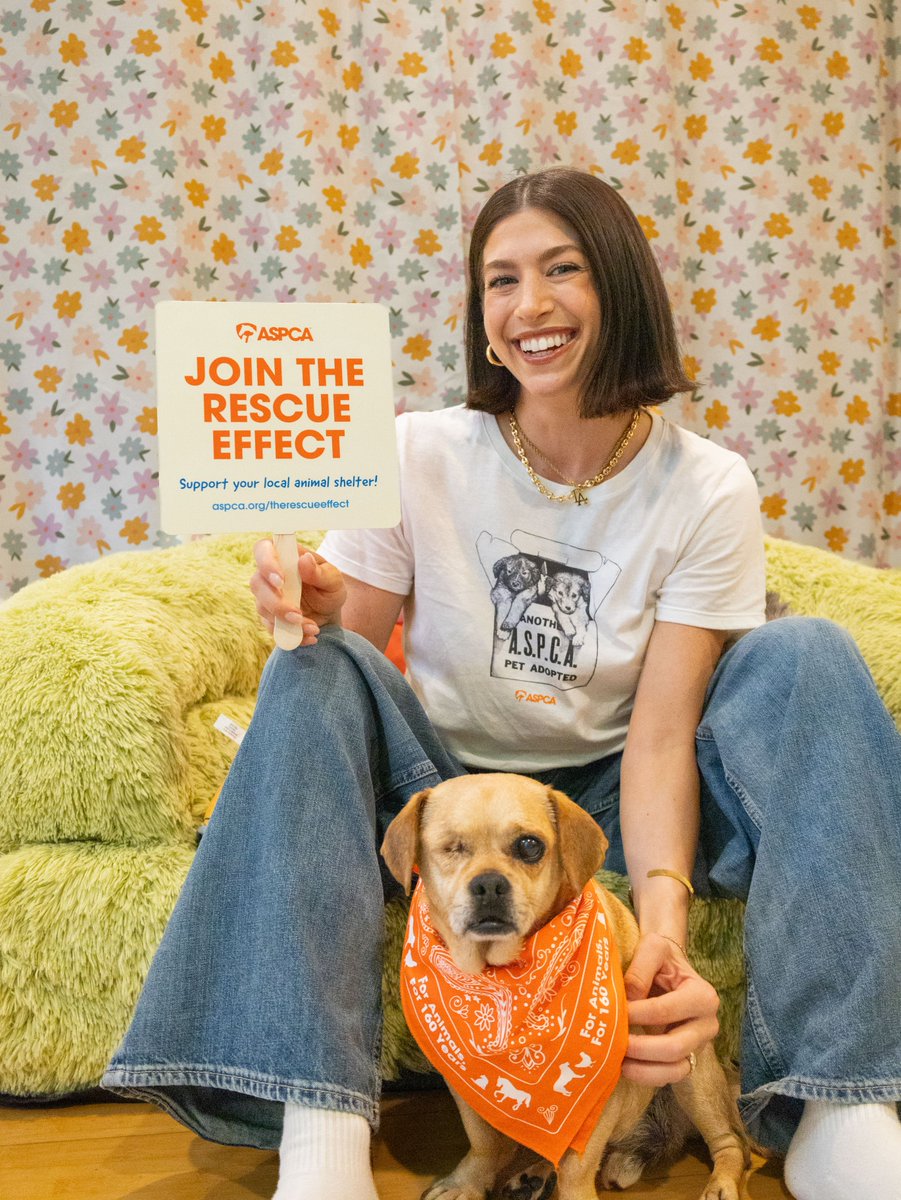 ASPCA's tweet photo. Updating our MySpace status to: feeling nostalgic 📱💿

Kate Steinberg, AKA the queen of Y2K, is joining #TheRescueEffect alongside her rescue pets Mike, Bob and Lincoln!

Adopt one, help many. 🐾

Learn more at https://t.co/yEpN2keN52 https://t.co/Pka5Q1g6u5