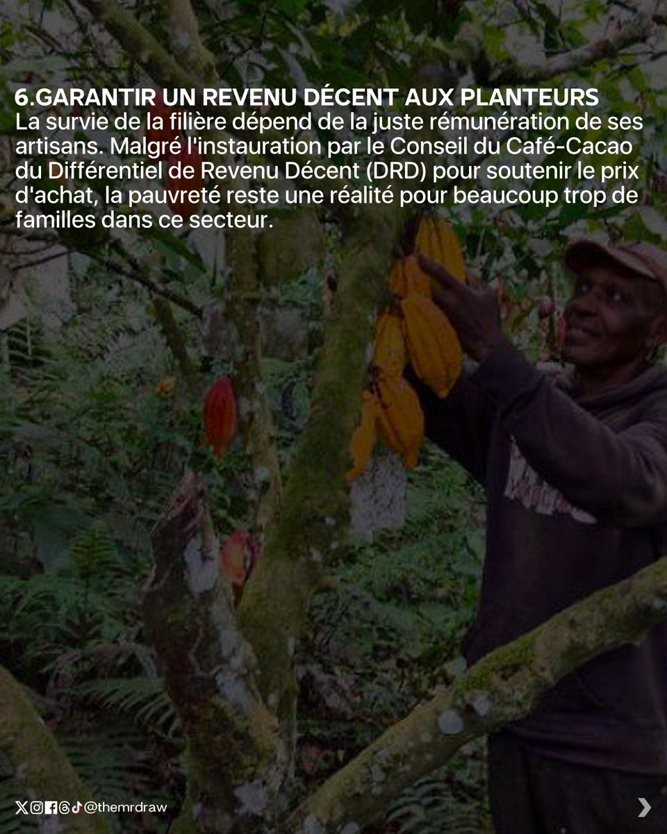themrdraw's tweet photo. 6. GARANTIR UN REVENU DÉCENT AUX PLANTEURS https://t.co/gxltwXNglx