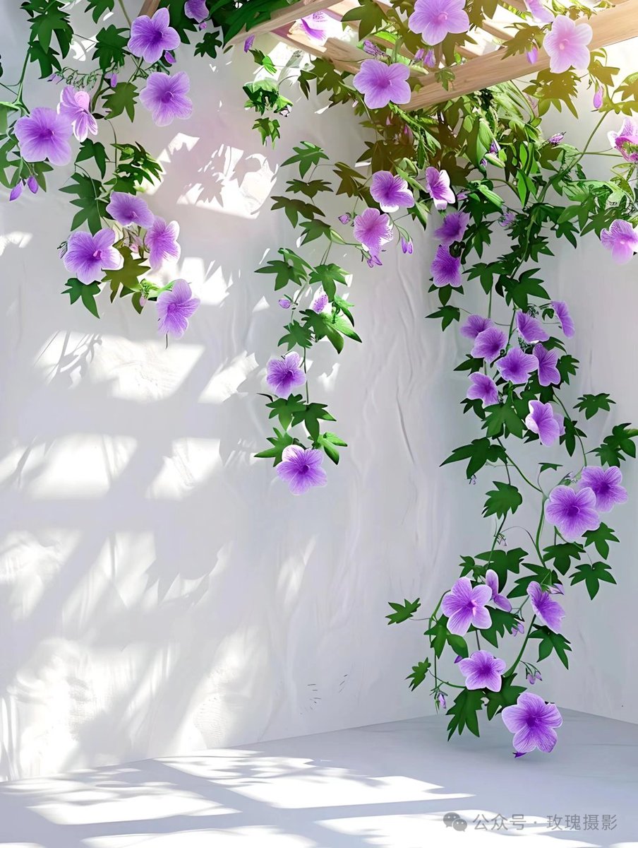 4ha2r's tweet photo. 「淮姿」が風にそよぐ季節、縁を結ぶ「缚」の糸が、「尘」の彼方まで淡く舞う——君との距離が少し近づくようで。 https://t.co/ZTJtTEbn4r