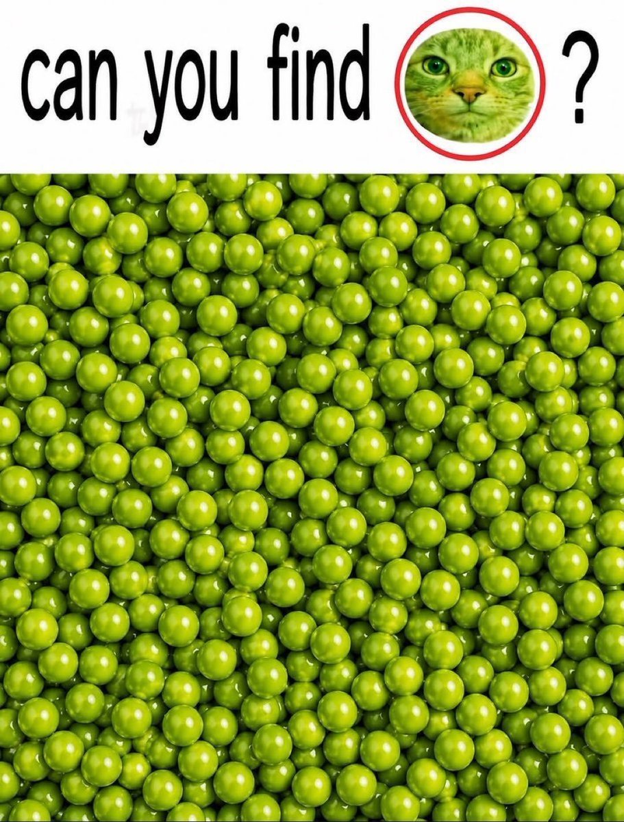 AnandAditya2003's tweet photo. Sharp i can find in 0.3 second. 

Can you? https://t.co/hqKCtOhhj6