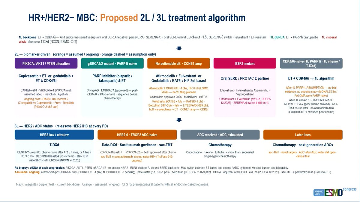 dr_yakupergun's tweet photo. #ESMO26

HR+/HER2− MBC: Proposed 2L / 3L treatment algorithm https://t.co/wmeNnW4IC9