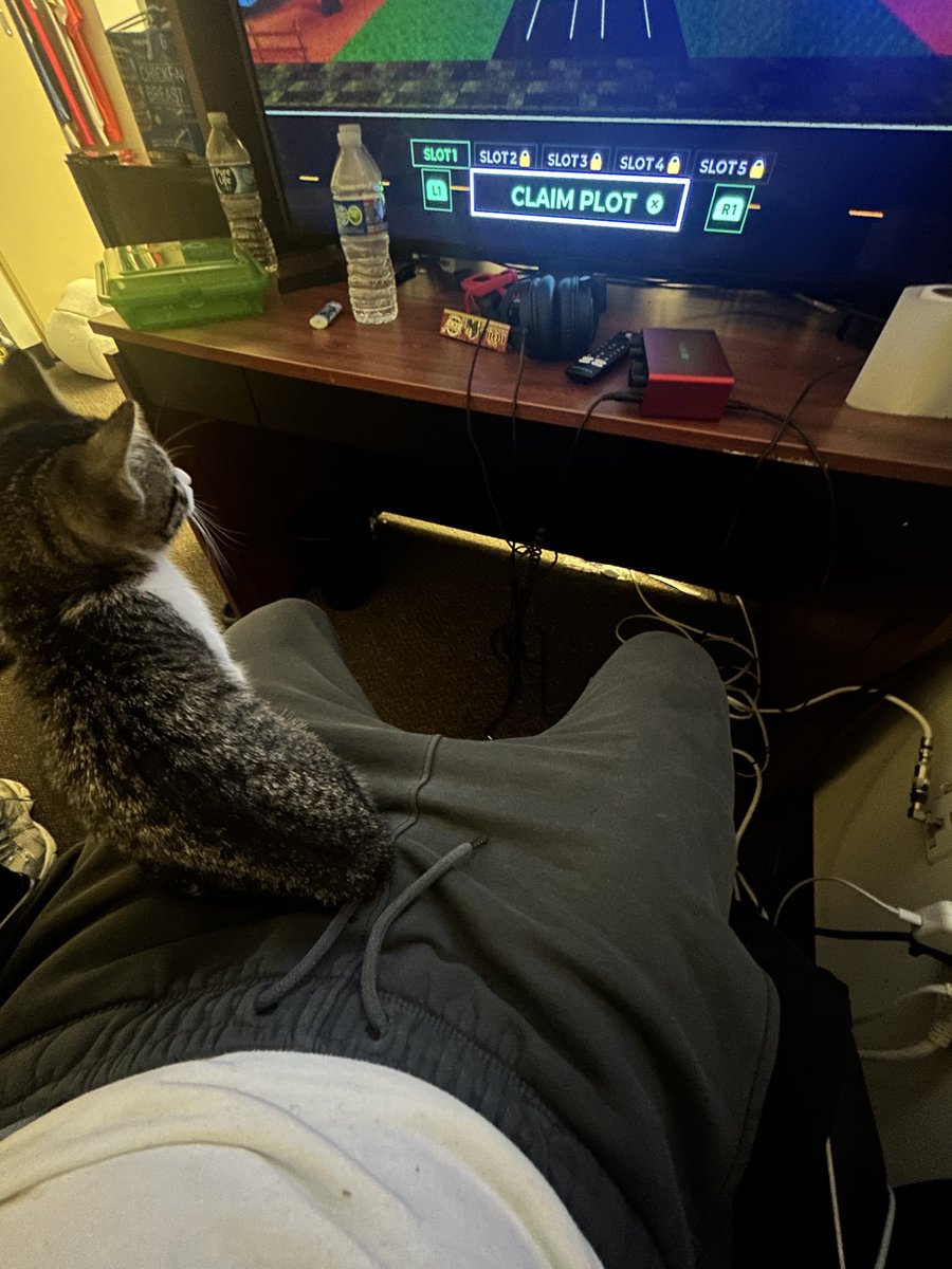 marfrmdabity's tweet photo. bruh really cool asl, but only if she know you type shii 🐈‍⬛ #2for1 #bella https://t.co/kxhIwV6gf0