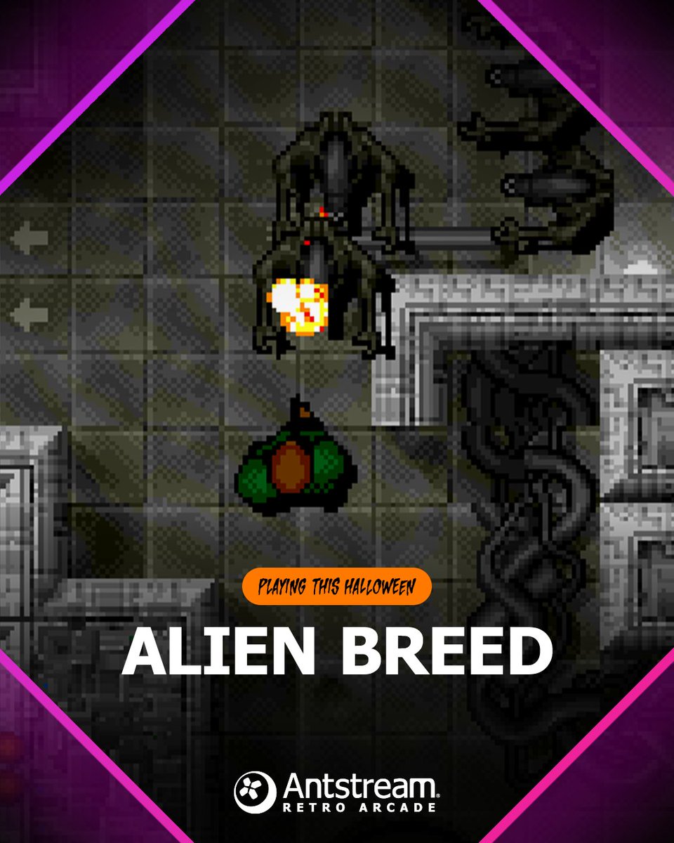 AntstreamArcade's tweet photo. Looking for a Halloween scare? 🎃👀 In space, no one can hear you scream

This Halloween, the Alien Breed Collection is streaming only on Antstream Retro Arcade. Mission status: swipe to begin.

#AlienBreedCollection #SpookySeason #Arcardegame #Retrogaming #Antstream https://t.co/JMVIkgvkoV