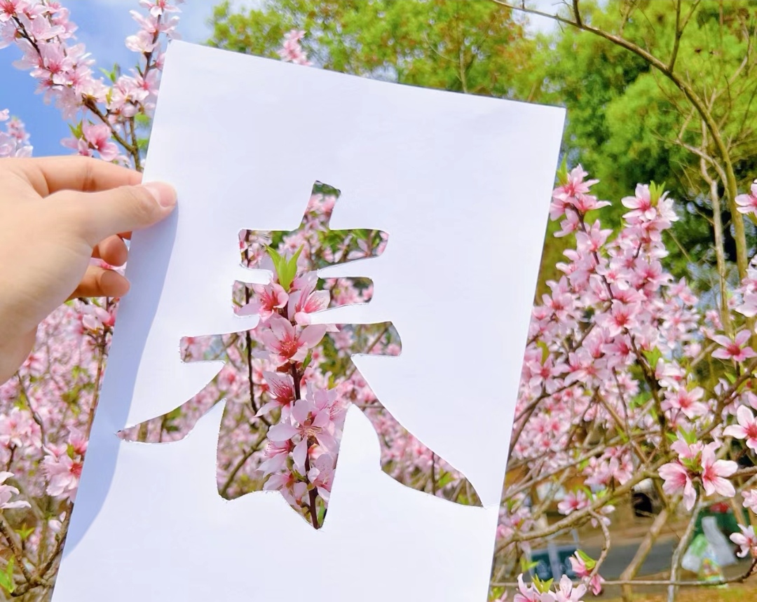 zar_qawi's tweet photo. [飛兆形擞玫の美しさが春の風に乗って広がるようだ]， https://t.co/MTuNm1RlXk