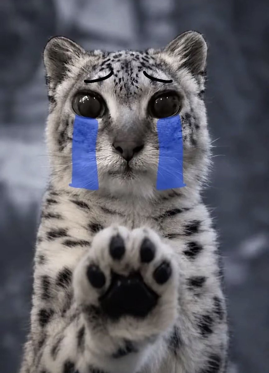 Berry0O070000's tweet photo. Cry cry cry cry cry cry cry cry cry cry cry https://t.co/TNExQeFFJC