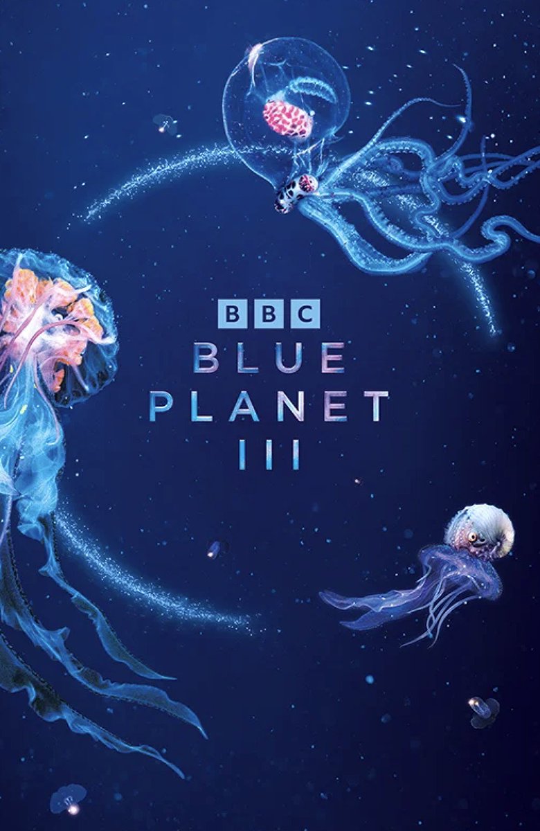 CultureCrave's tweet photo. 'Blue Planet III' will deliberately include murkier and less polished underwater footage to assure viewers it's real and not AI-generated 🌊

The David Attenborough-narrated series won't feature a single AI-generated frame

(via @guardian) https://t.co/klkTVrHZwY