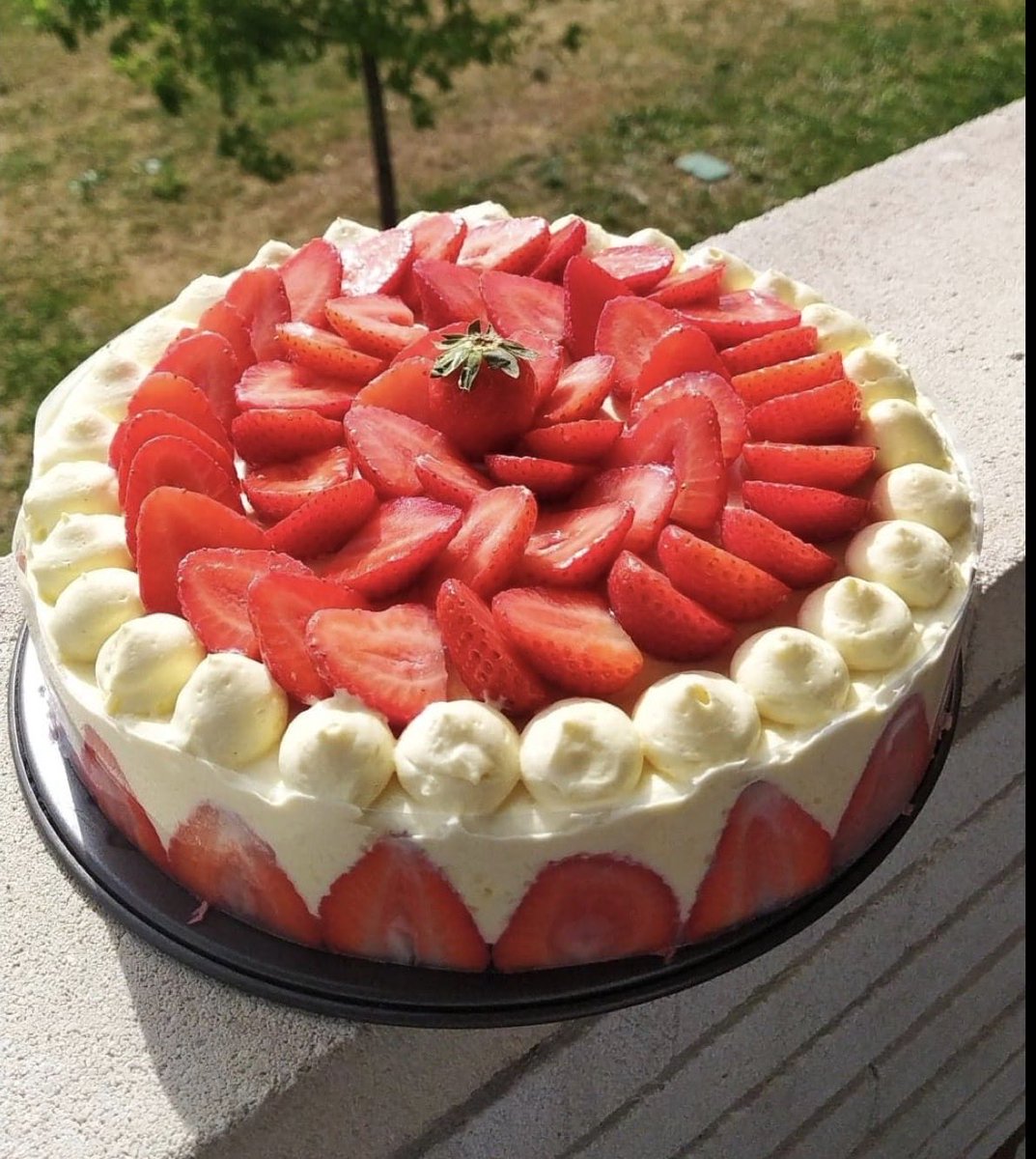 YsNynyakssss's tweet photo. Je serai jamais capable de choisir entre les deux ( sous-estimé pas le flan ) https://t.co/shLxPYmBkP